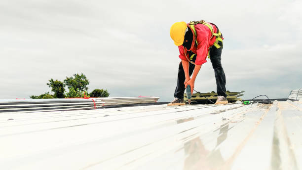 Roof Insulation Installation in Chatham, IL